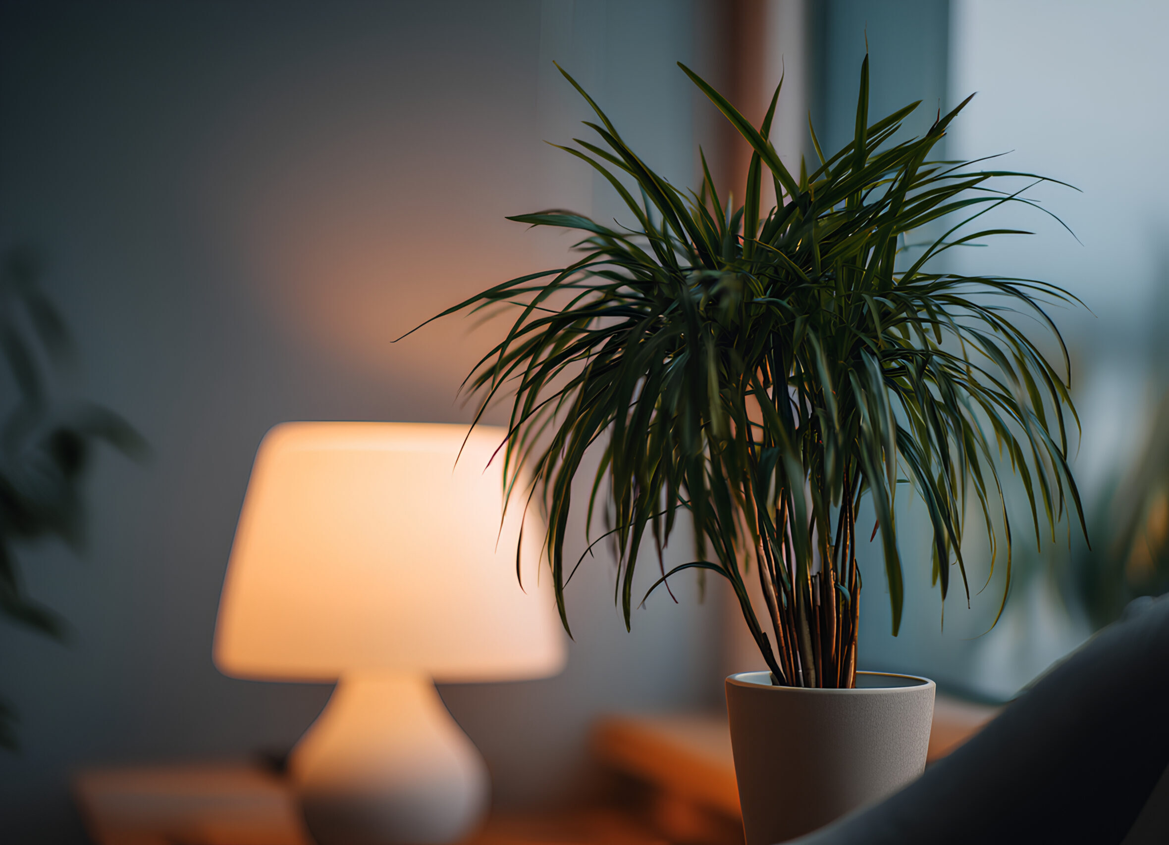 Grey Room with Lamp + Plant